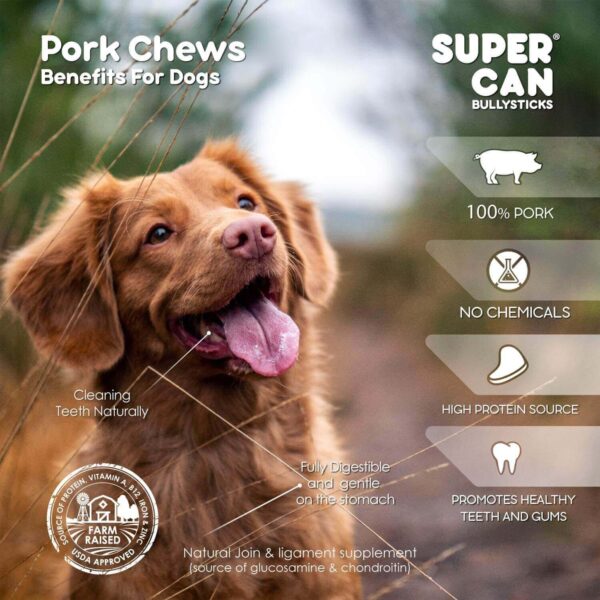 Pig Ear Slivers (450gr) - Suscripción quincenal - Imagen 5